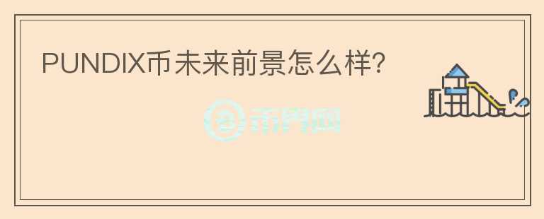 PUNDIX幣未來(lái)前景怎么樣？