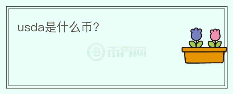 usda是什么幣？