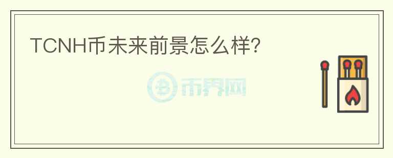 TCNH幣未來前景怎么樣？