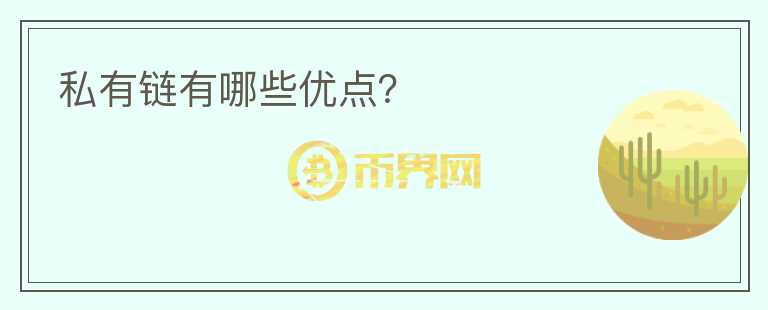 私有鏈有哪些優(yōu)點？