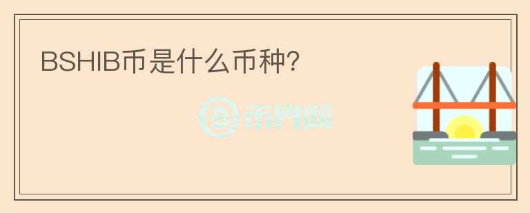 BSHIB幣是什么幣種？