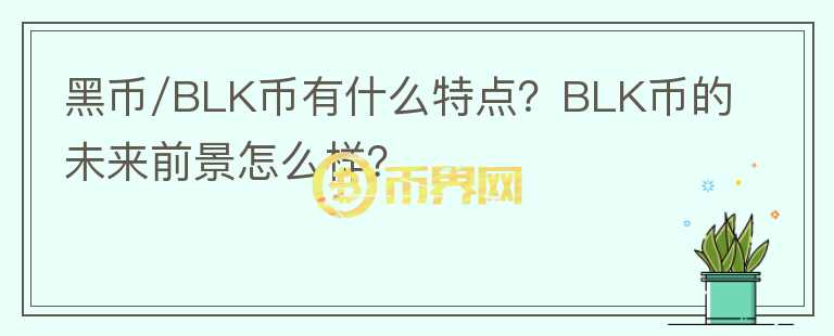黑幣/BLK幣有什么特點(diǎn)？BLK幣的未來(lái)前景怎么樣？