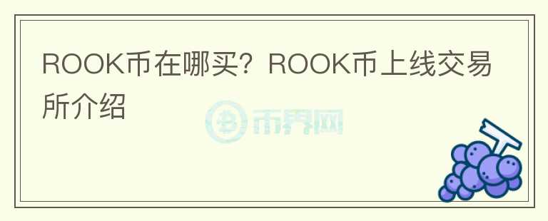 ROOK幣在哪買？ROOK幣上線交易所介紹