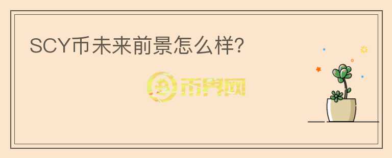 SCY幣未來前景怎么樣？