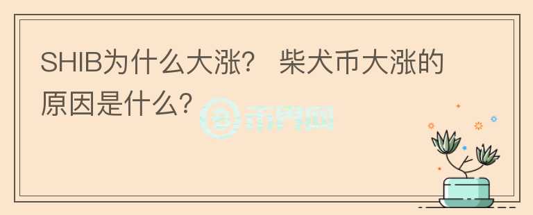 SHIB為什么大漲？ 柴犬幣大漲的原因是什么？