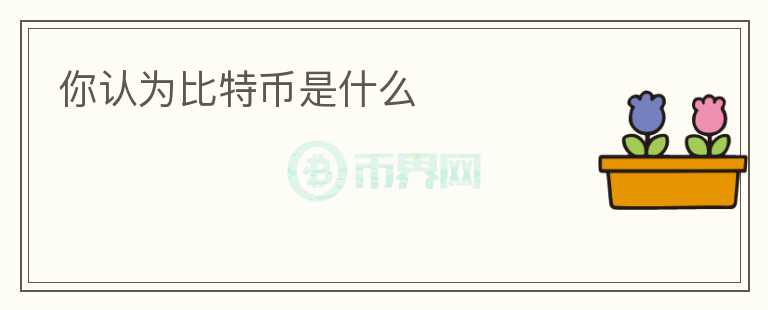 你認(rèn)為比特幣是什么