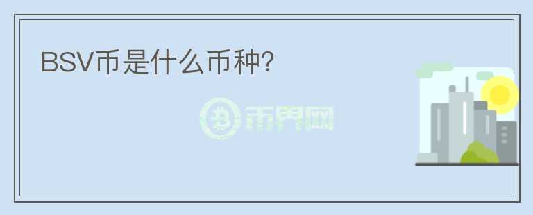 BSV幣是什么幣種？