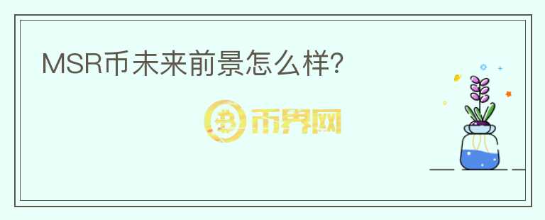MSR幣未來(lái)前景怎么樣？
