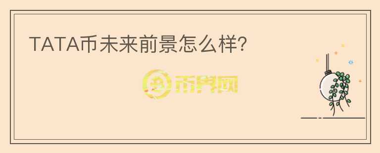 TATA幣未來前景怎么樣？