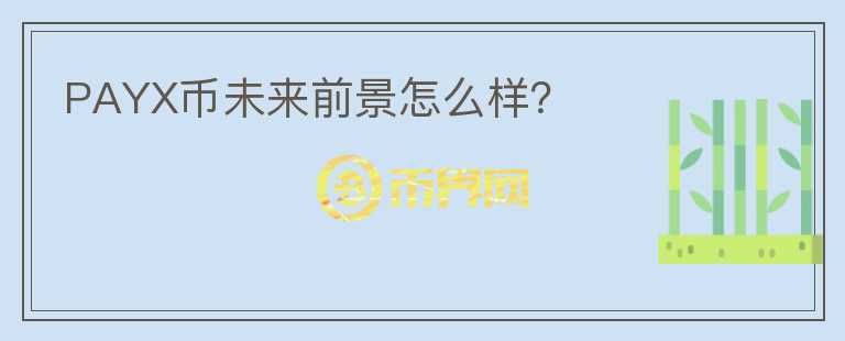 PAYX幣未來(lái)前景怎么樣？