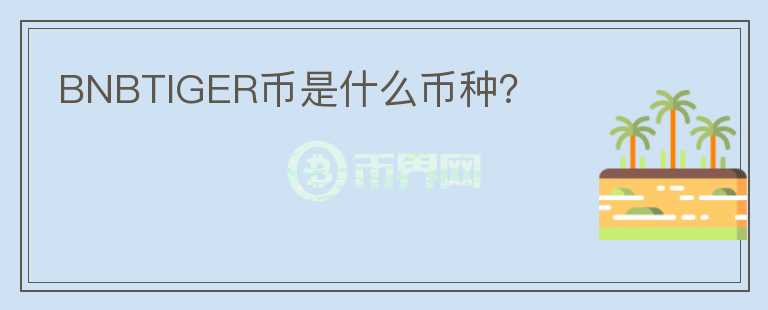BNBTIGER幣是什么幣種？