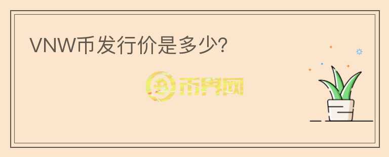 VNW幣發(fā)行價(jià)是多少？
