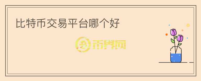 比特幣交易平臺哪個好