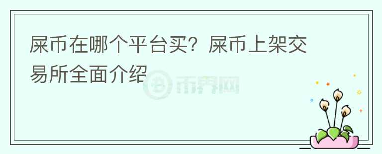 屎幣在哪個(gè)平臺買？屎幣上架交易所全面介紹