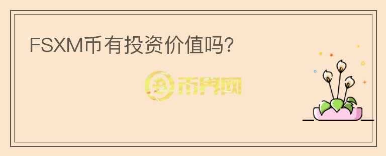 FSXM幣有投資價(jià)值嗎？