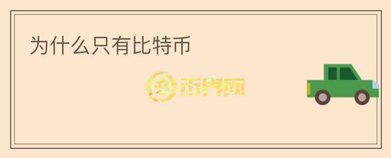 為什么只有比特幣