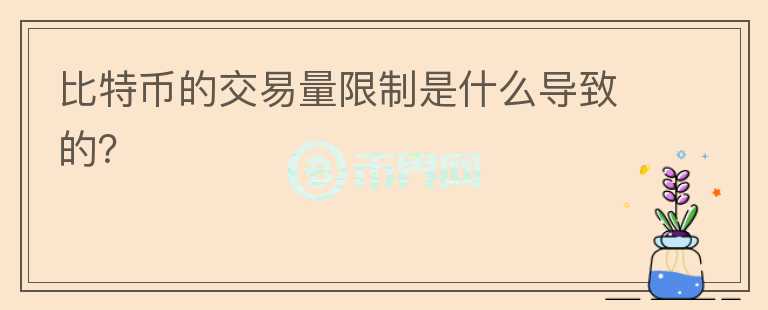 比特幣的交易量限制是什么導(dǎo)致的？
