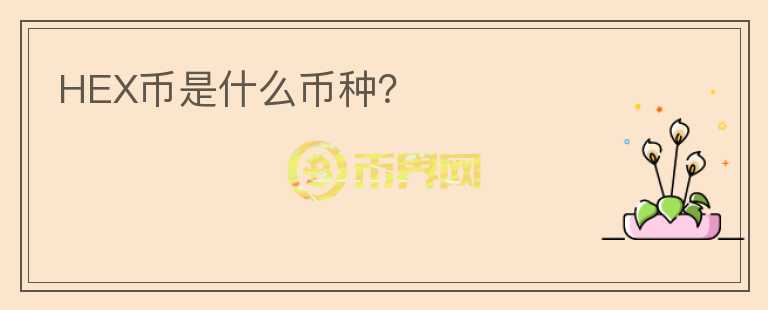 HEX幣是什么幣種？