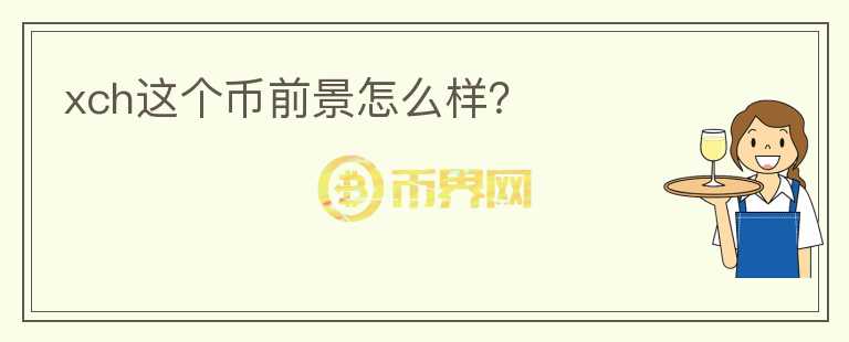xch這個幣前景怎么樣？