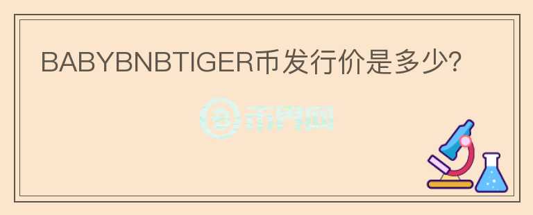 BABYBNBTIGER幣發(fā)行價是多少？