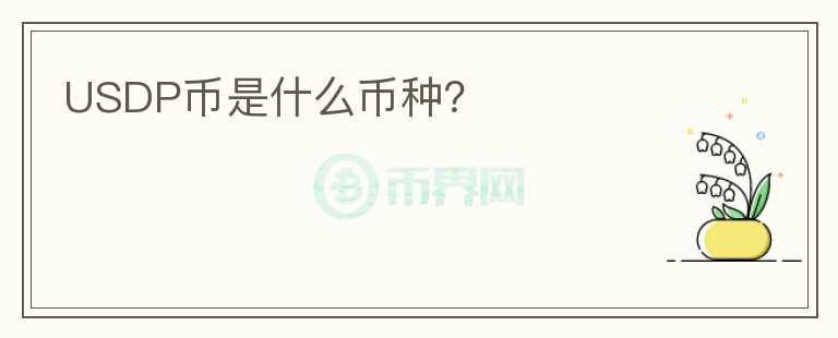 USDP幣是什么幣種？