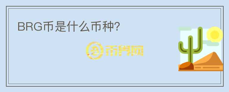 BRG幣是什么幣種？
