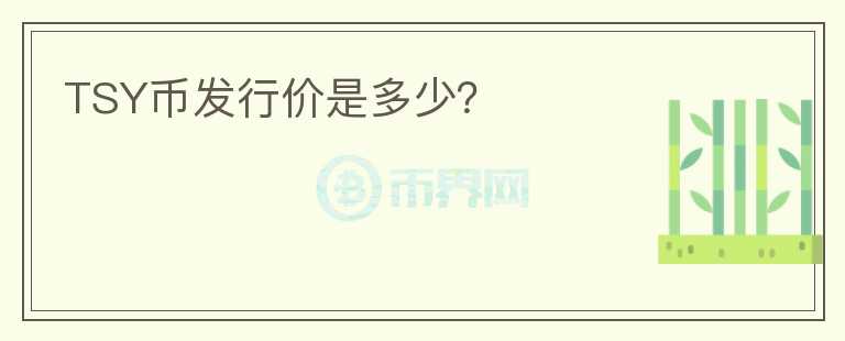 TSY幣發(fā)行價是多少？