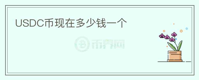 USDC幣現(xiàn)在多少錢一個