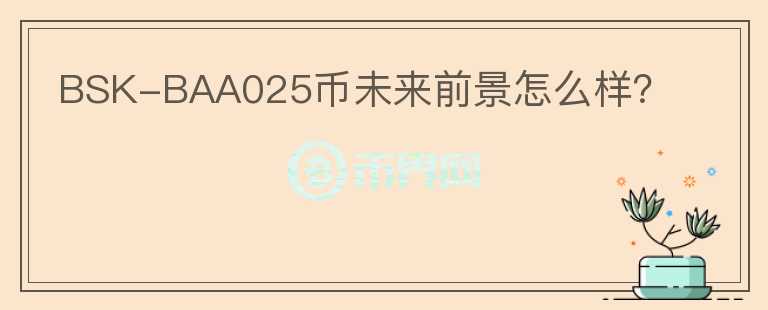 BSK-BAA025幣未來前景怎么樣？