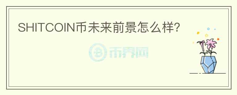 SHITCOIN幣未來(lái)前景怎么樣？