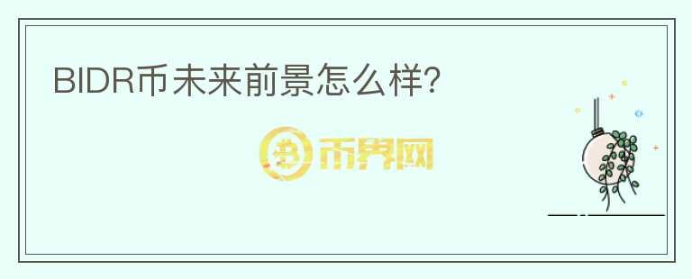 BIDR幣未來前景怎么樣？