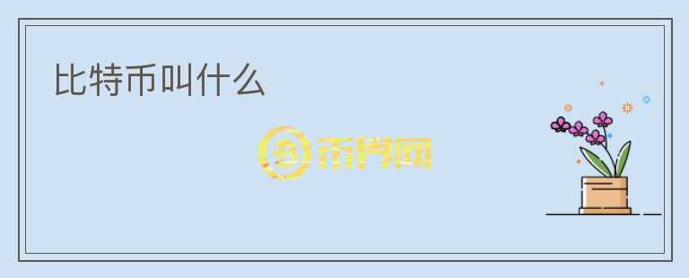 比特幣叫什么