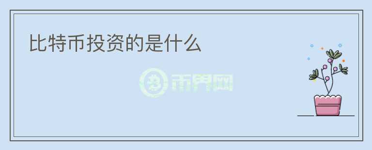 比特幣投資的是什么