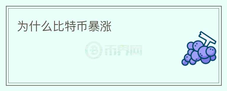 為什么比特幣暴漲