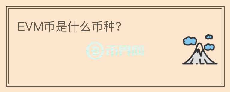 EVM幣是什么幣種？