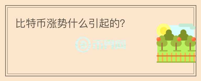 比特幣漲勢什么引起的？