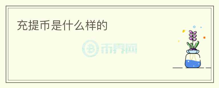 充提幣是什么樣的
