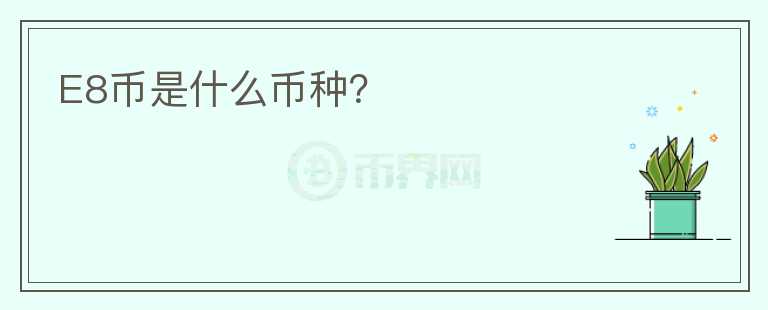 E8幣是什么幣種？