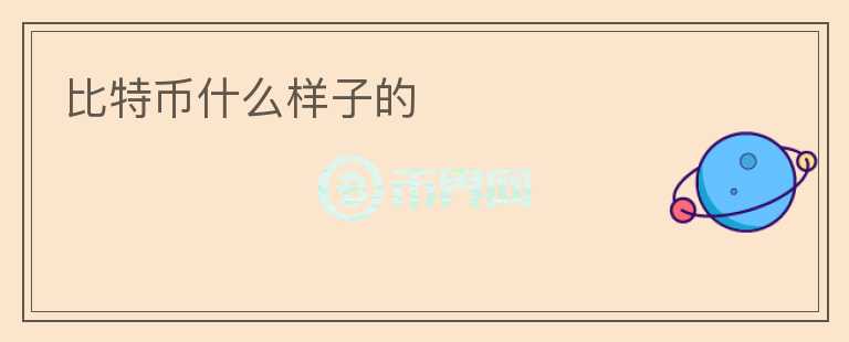 比特幣什么樣子的