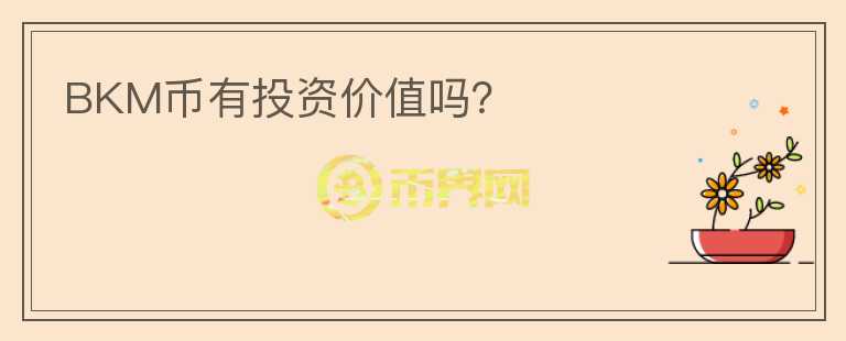 BKM幣有投資價(jià)值嗎？