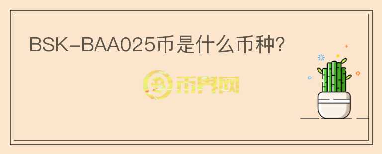 BSK-BAA025幣是什么幣種？