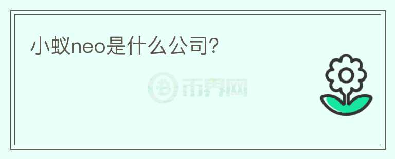 小蟻neo是什么公司？