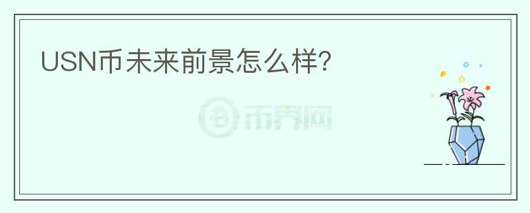 USN幣未來(lái)前景怎么樣？