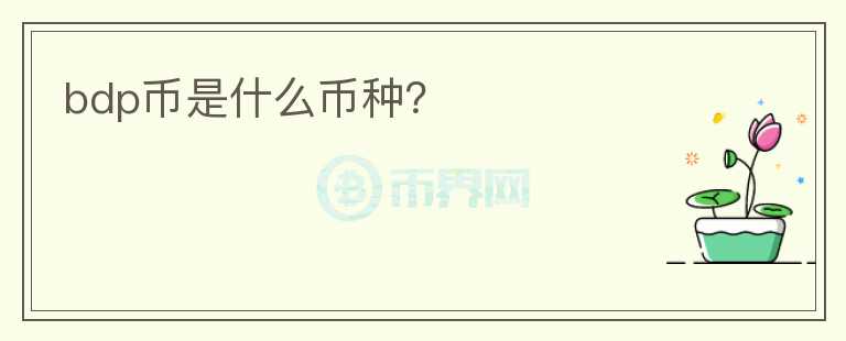 bdp幣是什么幣種？