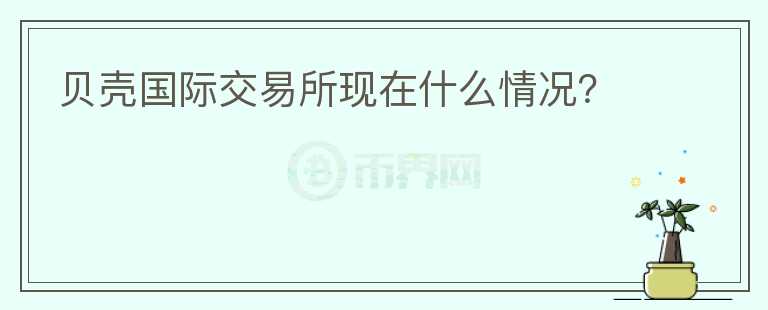 貝殼國(guó)際交易所現(xiàn)在什么情況？