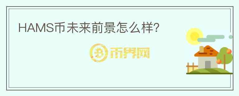HAMS幣未來前景怎么樣？