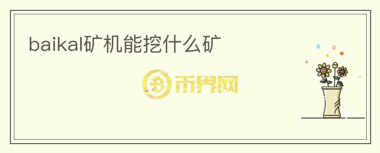 baikal礦機能挖什么礦