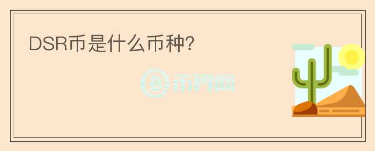 DSR幣是什么幣種？