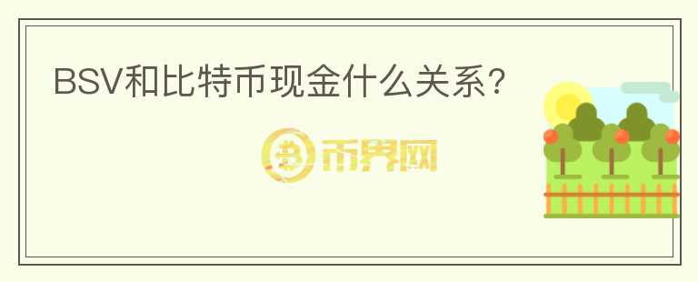 BSV和比特幣現(xiàn)金什么關(guān)系?