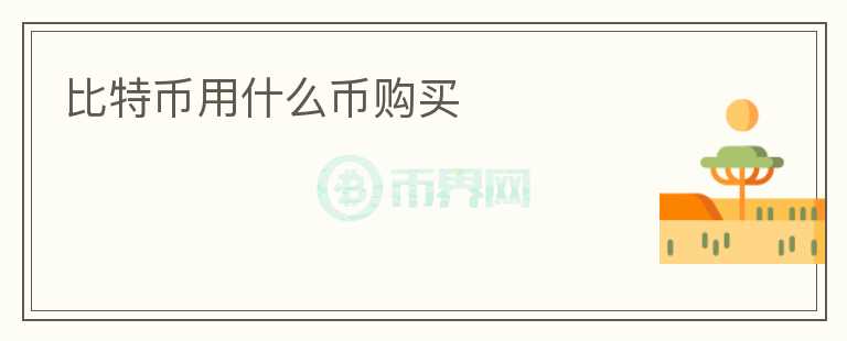 比特幣用什么幣購(gòu)買(mǎi)